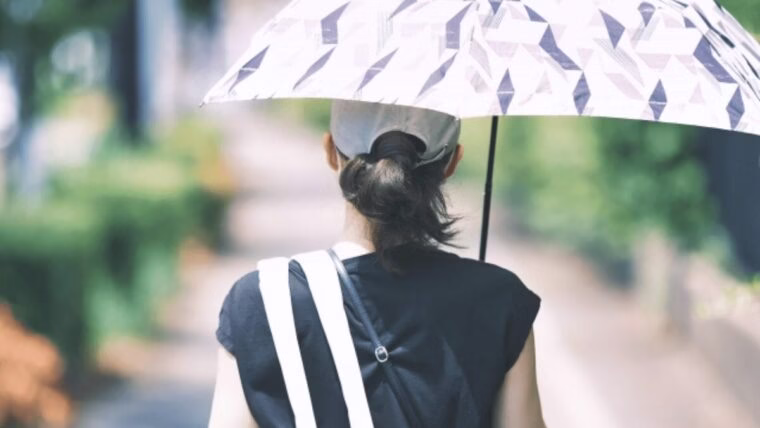 日傘をさして夏の道を歩く女性の後ろ姿