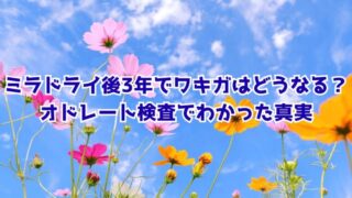 青空とコスモスの背景に「ミラドライ後3年でワキガはどうなる？オドレート検査でわかった真実」と書かれた画像